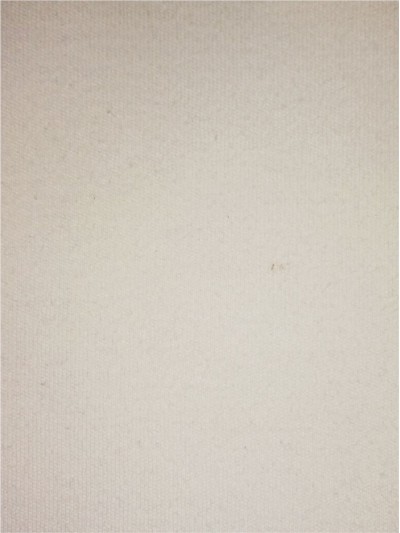 XX-XNXG  100%Cotton  Flame Retardant Interlock 針織阻燃布 正面照